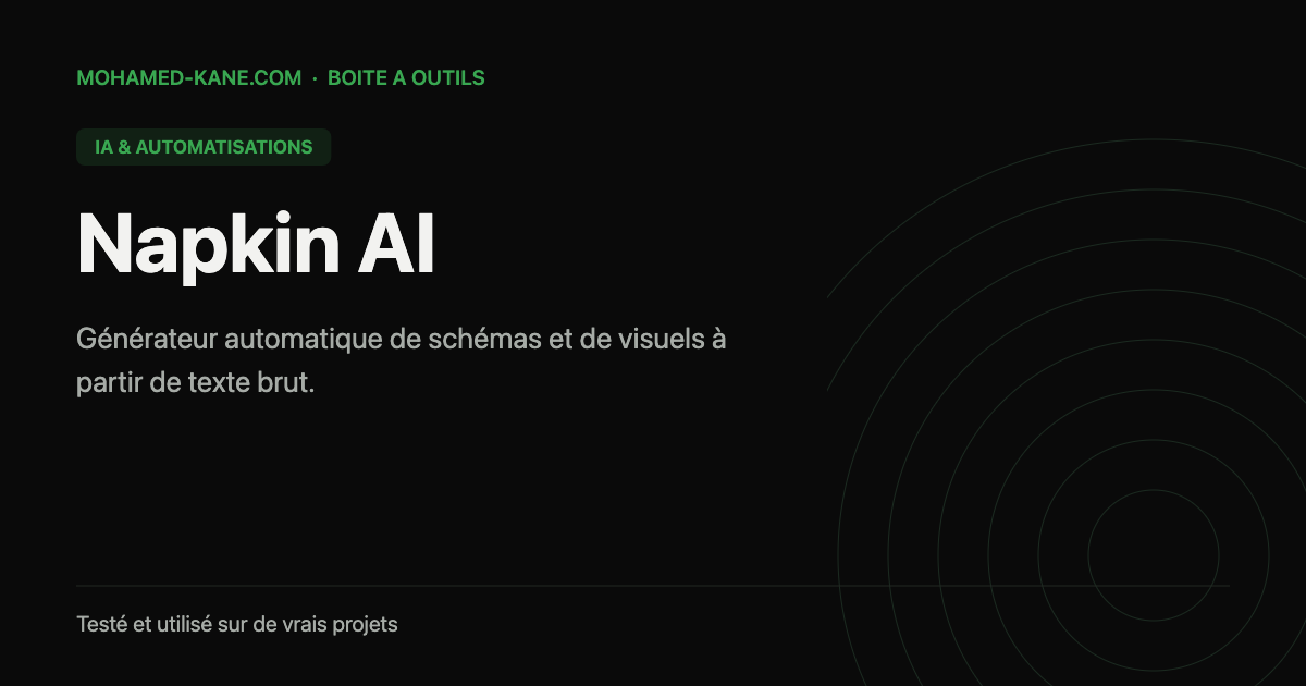 Napkin AI, outil IA testé par Mohamed Kane